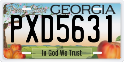 GA license plate PXD5631