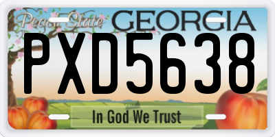 GA license plate PXD5638
