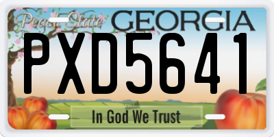 GA license plate PXD5641