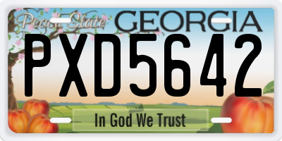 GA license plate PXD5642