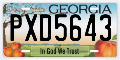 GA license plate PXD5643