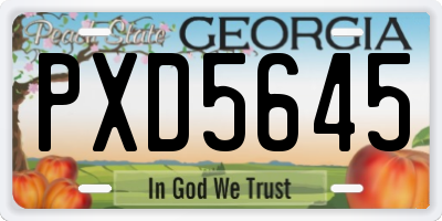 GA license plate PXD5645