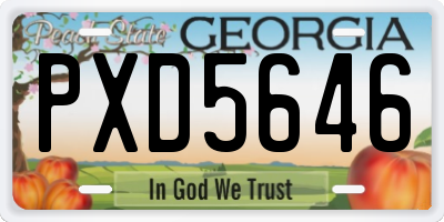 GA license plate PXD5646