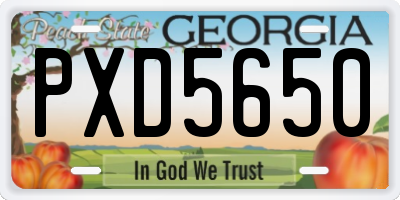 GA license plate PXD5650