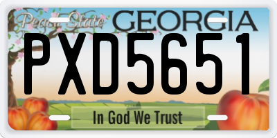 GA license plate PXD5651