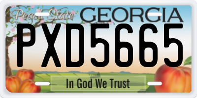 GA license plate PXD5665