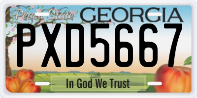 GA license plate PXD5667