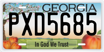 GA license plate PXD5685
