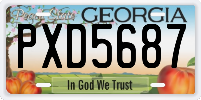 GA license plate PXD5687