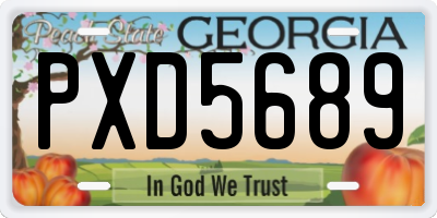 GA license plate PXD5689
