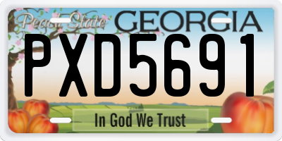 GA license plate PXD5691