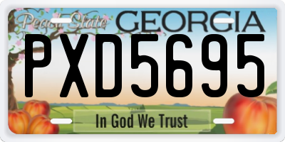 GA license plate PXD5695
