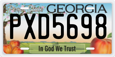 GA license plate PXD5698