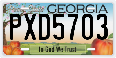 GA license plate PXD5703