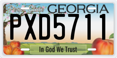 GA license plate PXD5711