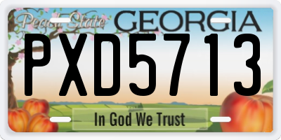 GA license plate PXD5713