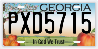 GA license plate PXD5715