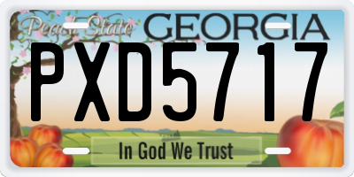 GA license plate PXD5717
