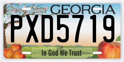 GA license plate PXD5719