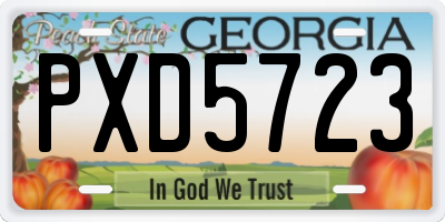 GA license plate PXD5723