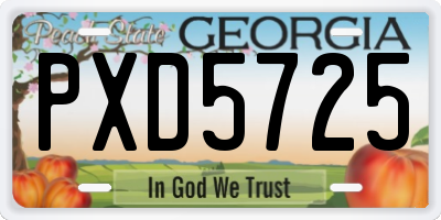 GA license plate PXD5725