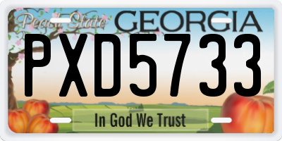 GA license plate PXD5733