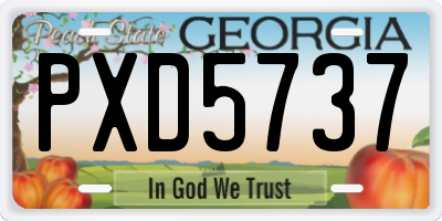 GA license plate PXD5737