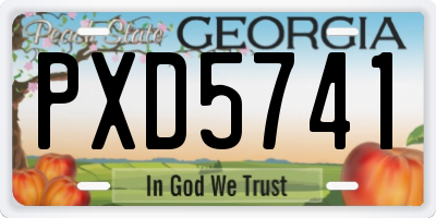 GA license plate PXD5741