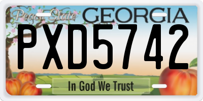 GA license plate PXD5742