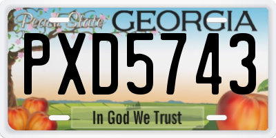 GA license plate PXD5743