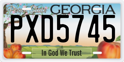 GA license plate PXD5745