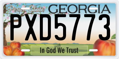 GA license plate PXD5773
