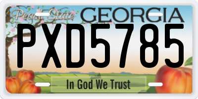 GA license plate PXD5785