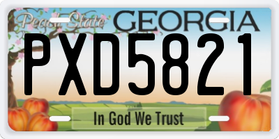 GA license plate PXD5821