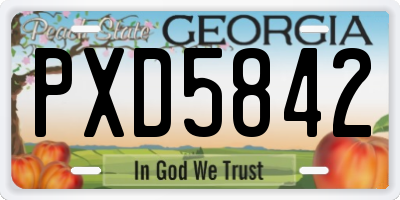 GA license plate PXD5842