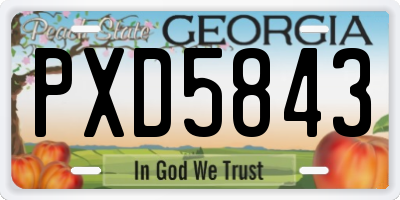 GA license plate PXD5843