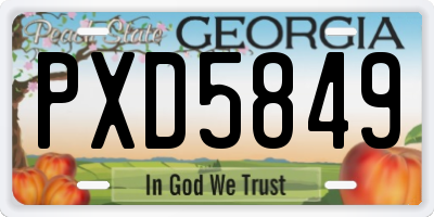 GA license plate PXD5849