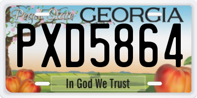 GA license plate PXD5864