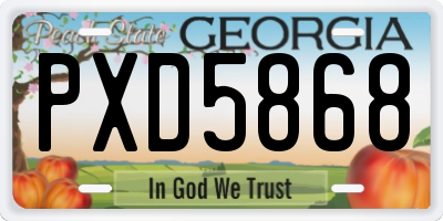 GA license plate PXD5868
