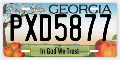 GA license plate PXD5877
