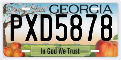GA license plate PXD5878