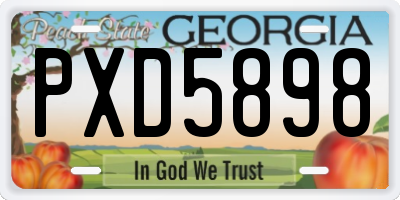 GA license plate PXD5898