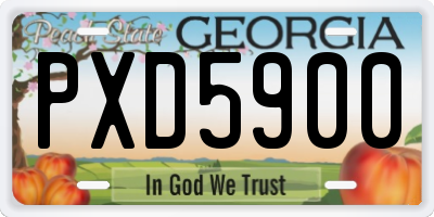 GA license plate PXD5900