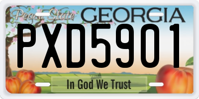 GA license plate PXD5901