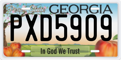 GA license plate PXD5909