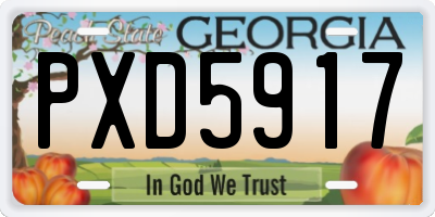 GA license plate PXD5917