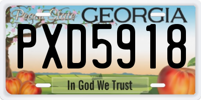 GA license plate PXD5918
