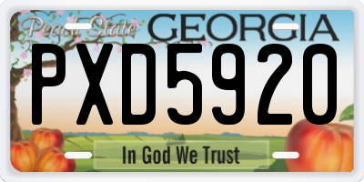 GA license plate PXD5920