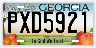 GA license plate PXD5921