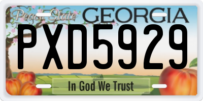 GA license plate PXD5929